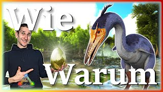 ARK Taming Guide  Hesperornis zähmen amp seine Fähigkeiten mit Humor [upl. by Asus301]