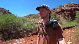 Desert Oasis near Moab Utah [upl. by Oiramd]