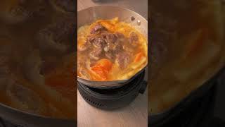 Making Beef Stew in the AIR FRYER OVEN HYSapientia Air Fryer Oven Recipes [upl. by Nonek503]