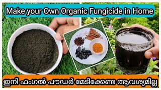 Homemade Organic Fungicide Pesticide in 5 Minutes  ഓർഗാനിക് ഫങ്കിസൈഡ് വീട്ടിൽ ഉണ്ടാക്കാം [upl. by Zuzana918]