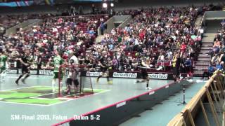 SMFinal i Innebandy 2013 FalunDalen 52 [upl. by Mccall]