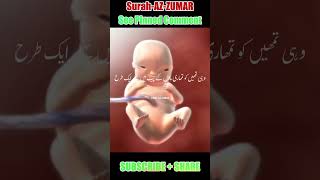 Quran about Human development shorts islamicstatus quran [upl. by Oribella]