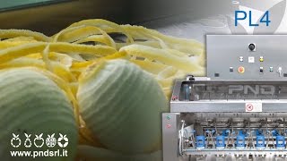 Lemon skin peeling mod PL4  ZEST MACHINE for LIMONCELLO [upl. by Araik]