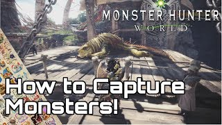 MONSTER HUNTER WORLD ICEBORNE How to Capture Monsters Guide [upl. by Niliak8]