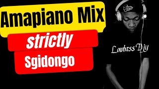 Amapiano Mix  Sgidongo  Lowbass Djy  HotFurze  Nkulee501 amp Skroef28  By Babza Da J sgidongo [upl. by Zela]