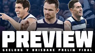 AFLM Cats v Lions Prelim Final Preview  The Chaps Chat Cats [upl. by Nelak]