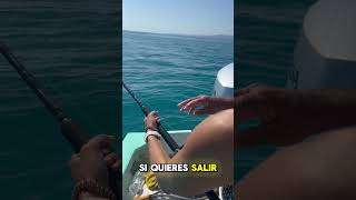 Pesca de PARGO🎣 con CARNADA gigante 😮 lapazbcs fishing [upl. by Lisbeth]