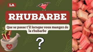 La rhubarbe 11 bienfaits SOUSESTIMÉS de la rhubarbe pour la santé [upl. by Leonard359]