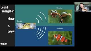 BioacousTalks Distributed acoustic sensing of Baleen whales by Dr Léa Bouffaut [upl. by Aicnom754]