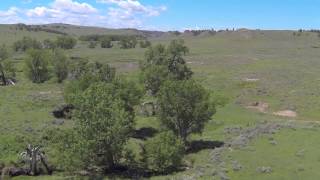 Sold  Montana Ranch For Sale  Teigen Land and Livestock Co Inc  Lewistown Montana [upl. by Samoht691]