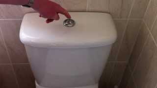 How To Fix An Overflowing Toilet  Ace Hardware [upl. by Arahsit]