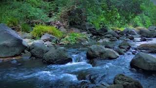 Water sounds for sleeping The calm flow of river water brings you a deep sleep beat insomnia [upl. by Eened]