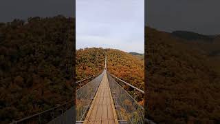 🍁The Geierlay Bridge— Germany 🇩🇪 🍂 [upl. by Etnaled286]