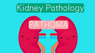 Kidney Pathology PATHOMA 2  Acute Renal Failure [upl. by Nhtanhoj]