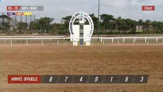 Live Hippodrome « CASABLANCA »  Courses du «02092024 » [upl. by Perice]