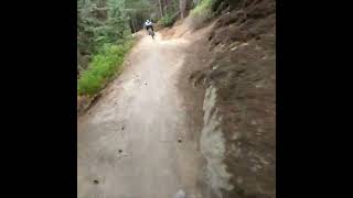 Dodgy Dog bike nzmtbguy nzmtbguy mountainbike mtb [upl. by Sou]