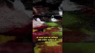 El Río de los Cinco Colores Caño Cristales [upl. by Ellga23]