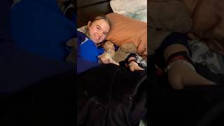 Xl bully puppy pile xlbullypuppy dogbreed shortsvideo [upl. by Ycnay401]