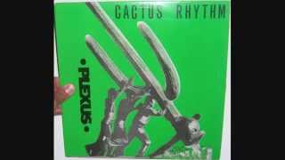 Plexus  Cactus rhythm 1991 Mike Ferlin mix [upl. by Ytomit68]