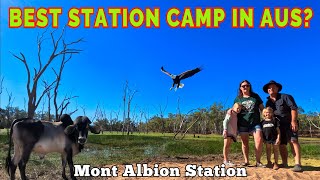 Outback Family Adventures Exploring Mont Albion Station in North Queensland Atherton Tablelands [upl. by Platto]