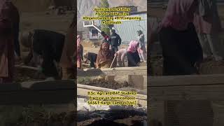 the traditional method of sieving vermicompost using a mesh board for separating fine compost [upl. by Tonneson]