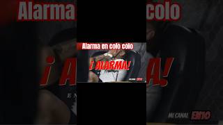 ALARMA EN COLOCOLO colocolo colocolohoy [upl. by Einna]