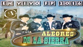 La Vida Mafiosa  Alegres De La Sierra 2016  FP EN VIVO 2016 [upl. by Edmonds]