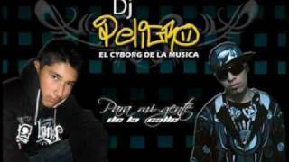 DJ PELIGRO Dale Contra el Muro [upl. by Halfon729]