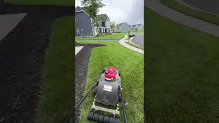 Mow therapy makes everything better enjoythemow lawncare pov mowing mowingpov [upl. by Annahpos770]