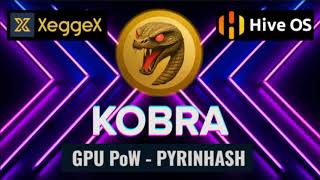 NEW COIN KOBRA KODA  GPU Profit Mining HIVEOS Tutorial  Wallet [upl. by Hollah]