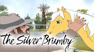 The Silver Brumby  A Leap Into Legend and Charlie Heads For the Mountin  Videos For Kids [upl. by Eniliuqcaj]