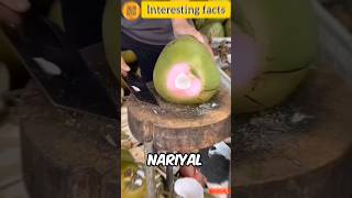 Coconut facts 🥥🌴 shorts shortsfeed facts dailyfacts viralvideo shortsviral coconut [upl. by Leifer]