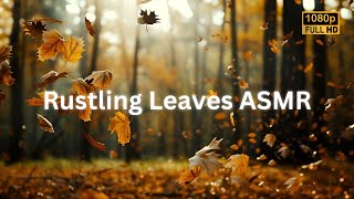 Rustling Leaves ASMR  Rustling Leaves Sound Effect  Relaxing Rustling Leaves in a Forest [upl. by Koenig250]