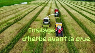 JE VOUS EMMÈNE AVEC MOI À LENSILAGE DHERBE 2024 🌿 [upl. by Gilges418]