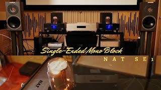 SingleEnded Mono Block Power Amplifier  NAT Se1  Primaluna PreAmp  Audiovector Speakers [upl. by Attenrad]