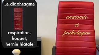 diaphragme respiration hoquet hernie hiatale 521 [upl. by Neala]