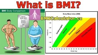 BMI Body Mass Index Introduction History and BMI Calculator [upl. by Margalit]