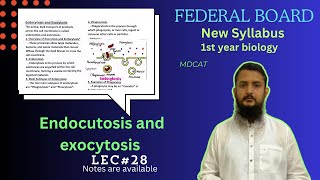 Endocytosis and Exocytosis  class 11 [upl. by Erdnaid]