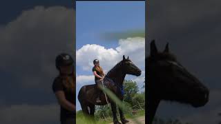 More info in the comments🥰 horse bitless equestrian dreamcomestrue dream horsemanship [upl. by Fennie613]