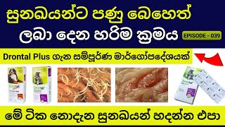 ඔබේ සුරතලාටත් Drontal Plus පණු බෙහෙත්  පණු බෙහෙත් දෙන හරිම විදිය  Deworming for Dogs [upl. by Anipsed494]