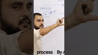 Nutrition in Amoeba pseudopodia formation lifeprocesses cell [upl. by Reppep]