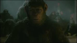 Caesar vs Koba fight Apes together strong Caesar weak Dawn of the Planet of the Apes 2014 [upl. by Alomeda]