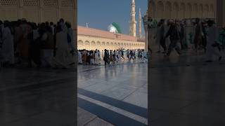 MadinE Mujhe Maut Yun Aaye madinenaat islamicsong viralvideo naatshariff islamicmusic islamic [upl. by Fanchon884]