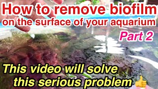 How to remove biofilm on the surface of the planted aquarium Part2 ADA nature aquarium oil slicks [upl. by Arrik828]