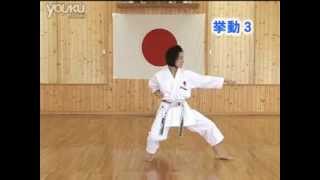 Heian Nidan JKA Shotokan Karate KarateZine [upl. by Marvel856]