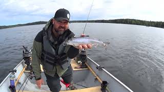 How to Jig for Kokanee  Learn to Fish  Shallow Water Jigging [upl. by Derick]