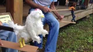 Flatfooting Appalachian limberjack and chicken dolls  oldtime jam  Sewellfest [upl. by Adirem]