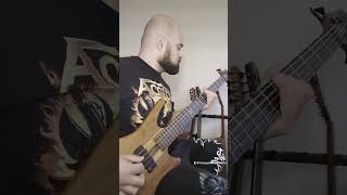 One of the chunkiest opening metal bass lines megadeth chunkybassline basssolo metalbassist [upl. by Edmunda]