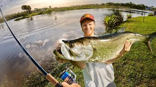 Freshwater Tarpon When Preparation meets Opportunity [upl. by Azirb]