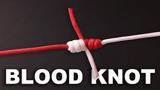 The Easiest Way to Tie a Blood Knot [upl. by Richardo]